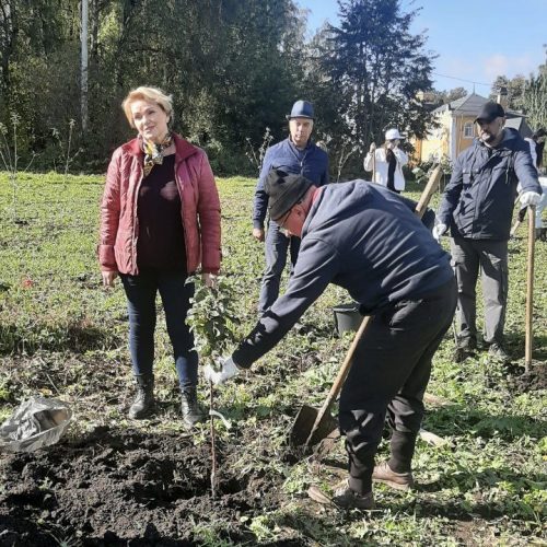 Команда ГТРК «Орел» участвует в восстановление сада Телегина
