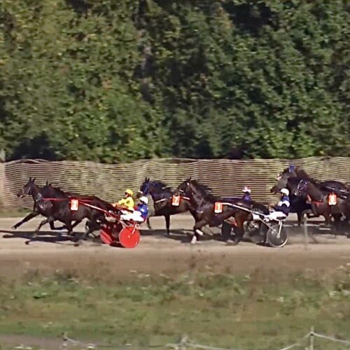 photo_2025-09-17_13-49-37